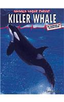 Killer Whale