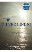 Silver Lining