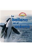 Ballena En El Océano (the Whale in the Water)