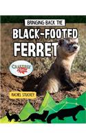 Bringing Back the Black-Footed Ferret