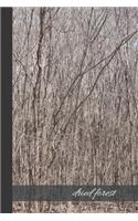 dried forest
