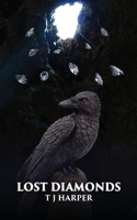 Lost Diamonds