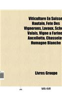 Viticulture En Suisse: Hautain, Fete Des Vignerons, Lavaux, Schenk, Vignoble Du Valais, Chasselas, Vigne a Farinet, Ancellotta