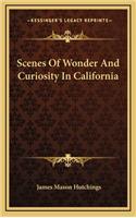 Scenes Of Wonder And Curiosity In California