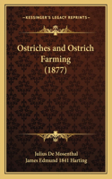 Ostriches and Ostrich Farming (1877)