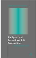 Syntax and Semantics of Split Constructions: A Comparative Study