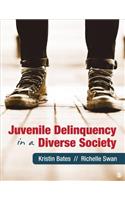 Juvenile Delinquency in a Diverse Society