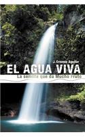 Agua Viva: La Semilla Que Da Mucho Fruto