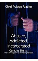 Abused, Addicted, Incarcerated: Canda's Shame: the Autobiography of an Aboriginal Rebel