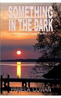 Something in the Dark