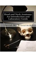 Head and Neck Anatomy