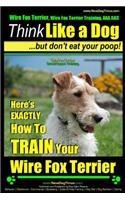 Wire Fox Terrier, Wire Fox Terrier Training, AAA AKC - Think Like a Dog But Don't Eat Your Poop! - Wire Fox Terrier Breed Expert Training -
