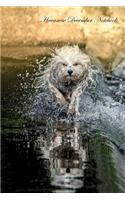 Havanese December Notebook Havanese Record, Log, Diary, Special Memories, To Do List, Academic Notepad, Scrapbook & More