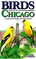 Birds of Chicago