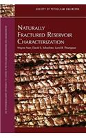 Naturally Fractured Reservoir Characterization