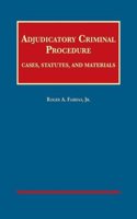 Adjudicatory Criminal Procedure