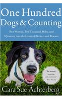 One Hundred Dogs and Counting