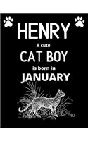 HENRY a cute cat boy is born in January: Draw & write journal for boys with 100+ Pages of 8.5"x 11" Blank Paper for Drawing, Writing, Doodling or Learning to Draw