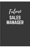 Future Sales Manager Notebook