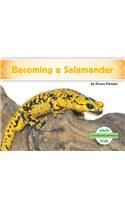 Becoming a Salamander