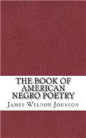 The Book of American Negro Poetry