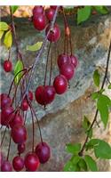 2019 Weekly Planner Autumn Tree Plump Red Berries 134 Pages: (2019 Planners Calendars Organizers Datebooks Appointment Books Agendas)