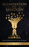 Illumination of the Shadow