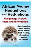 African Pygmy Hedgehogs and Hedgehogs. Hedgehogs as Pets