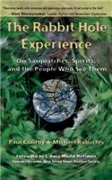 Rabbit Hole Experience