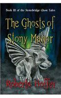 The Ghosts of Stony Manor