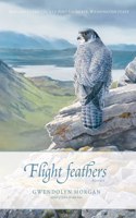 Flight Feathers