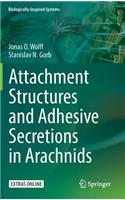 Attachment Structures and Adhesive Secretions in Arachnids