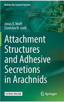 Attachment Structures and Adhesive Secretions in Arachnids