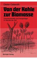 Von Der Kohle Zur Biomasse: Chemierohstoffe Und Energieträger Im Wandel Der Zeit
