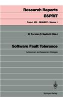 Software Fault Tolerance