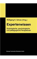 Expertenwissen