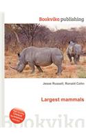 Largest Mammals