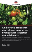 Améliorer la croissance des cultures sous stress hydrique par la gestion des nutriments