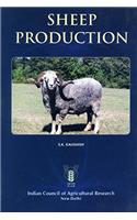 Sheep production