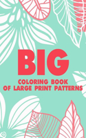 Big Coloring Book Of Large Print Patterns
