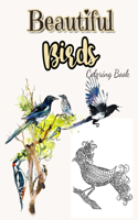 Beautiful Birds Coloring Book