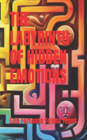 Labyrinth of Hidden Emotions