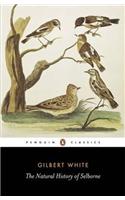The Natural History of Selborne