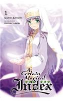 A Certain Magical Index, Vol. 1 (Novel): (Certain Magical Index)
