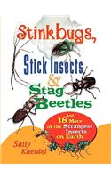Stink Bugs, Stick Insects, and Stag Beetles: And 18 More of the Strangest Insects on Earth(English)
