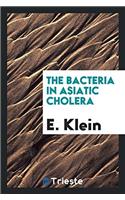 The bacteria in Asiatic cholera