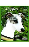 Whippets