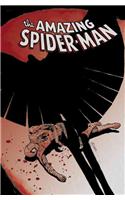 Spider-Man: The Gauntlet Volume 3 - Vulture & Morbius