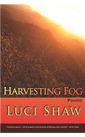 Harvesting Fog