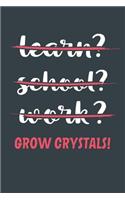 Learn? School? Work? Grow Crystals!
